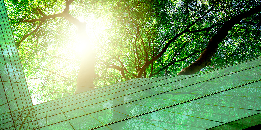 Descriptive alt text