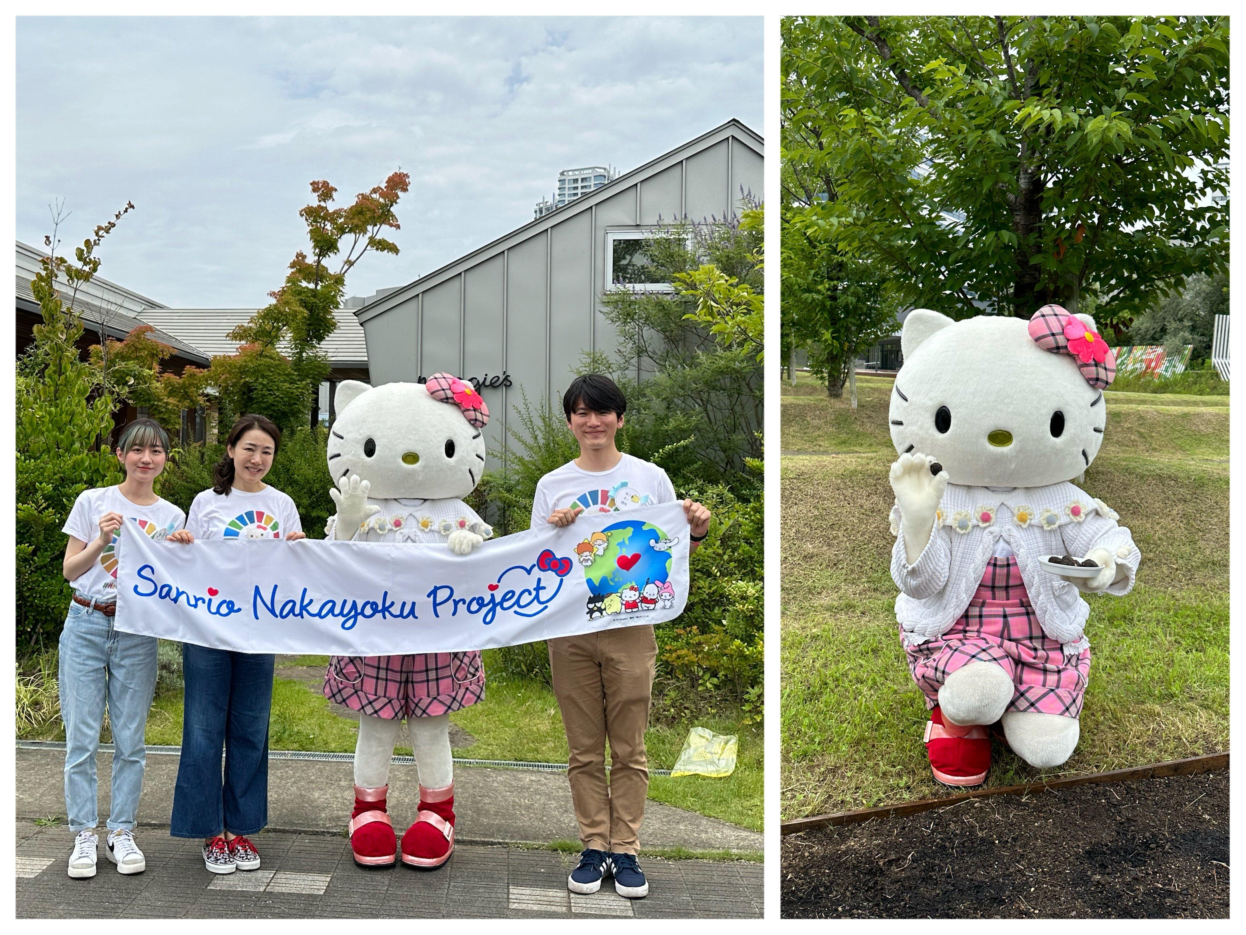 20230810_051944109_iOS